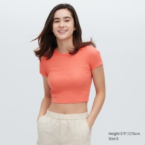 Uniqlo Costine Cropped Crew Neck Magliette Arancioni | SHWMPZ740