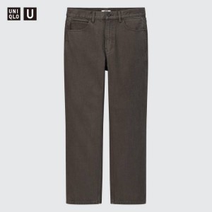 Uniqlo U Regular Fit Jeans Grigie | KHLRVU318